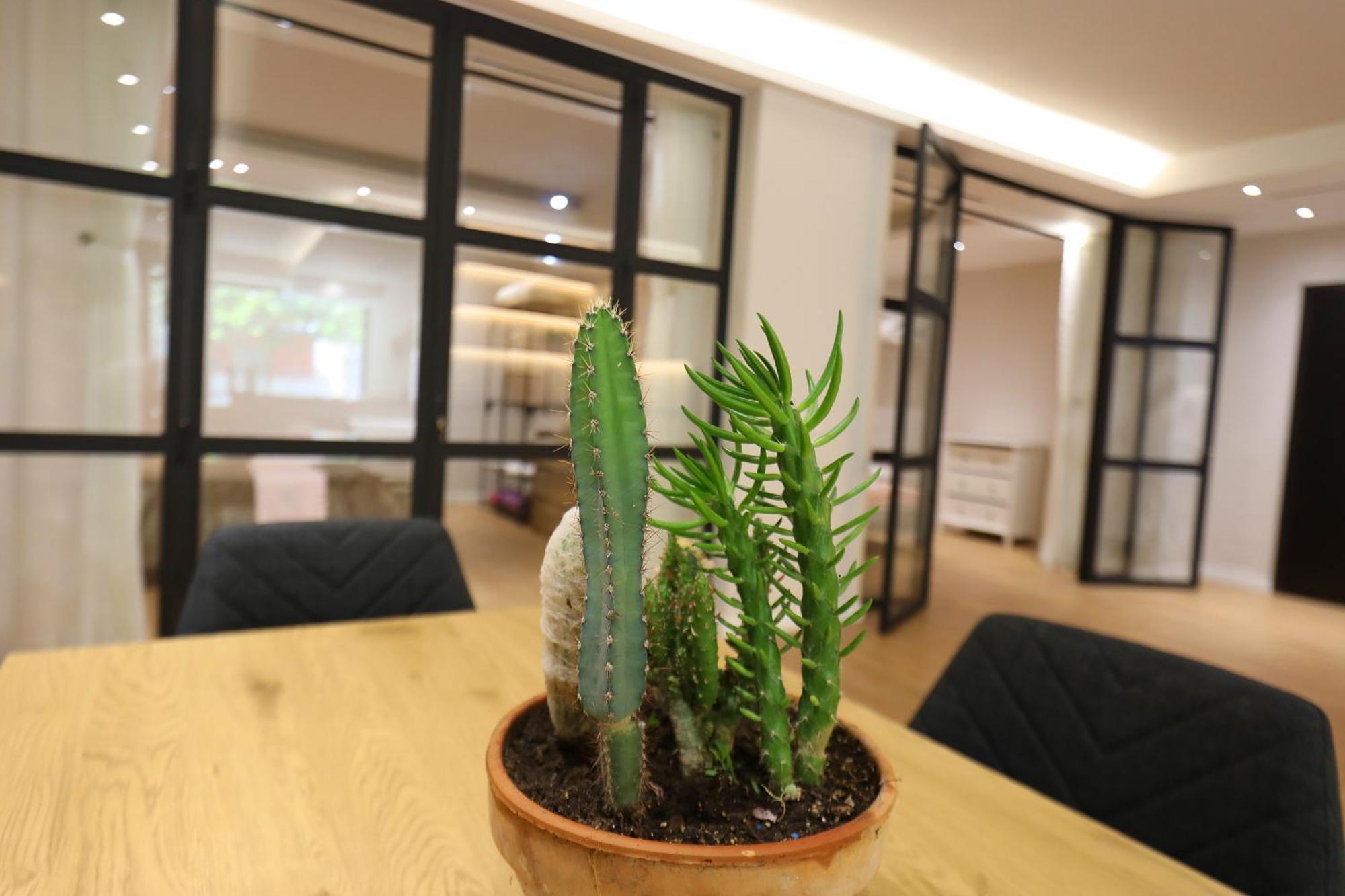 Amantia Apartment Vlorë Εξωτερικό φωτογραφία